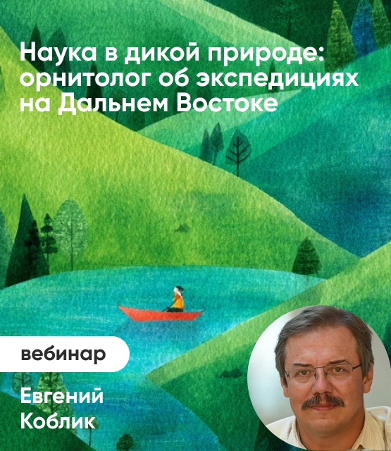 Обложка Наука в дикой природе: орнитолог об экспедициях на Дальнем Востоке Обложка Наука в дикой природе: орнитолог об экспедициях на Дальнем Востоке