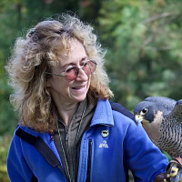 Сай Монтгомери