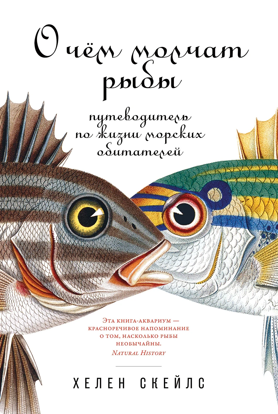 О чем молчат рыбы обложка. О чем молчат рыбы обложка.
