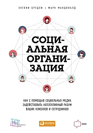 Социальная организация